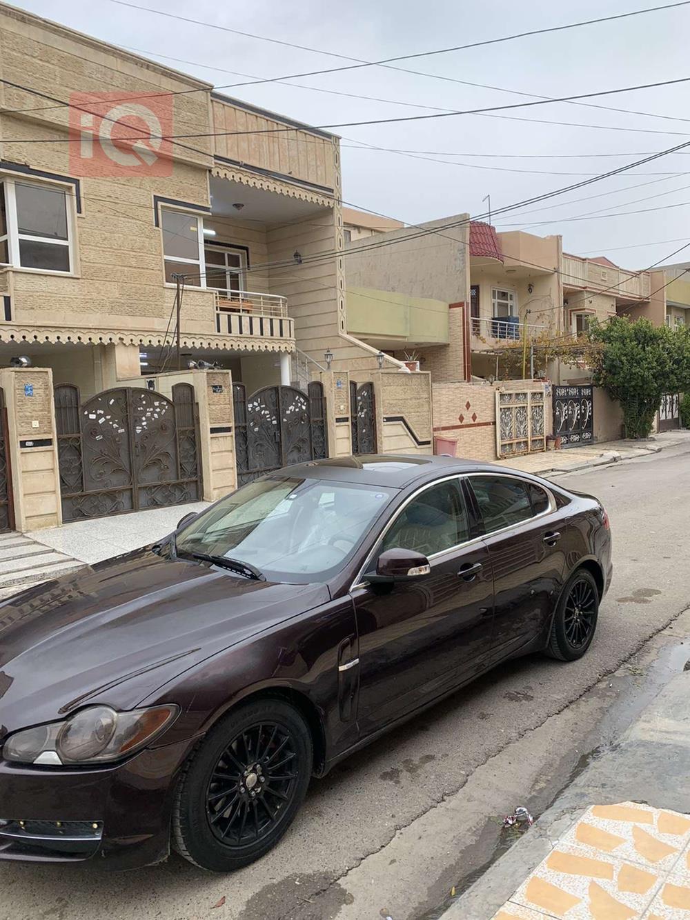 جاگوار XF